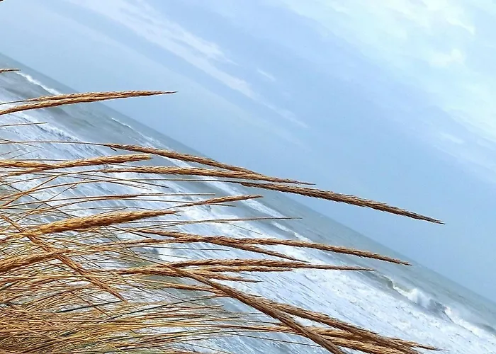 Couette-café Les Ondines 3*